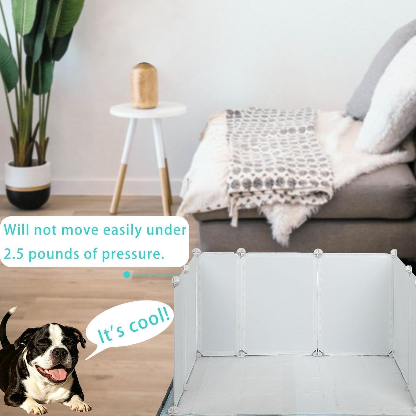Customizable Dog Pee Pad Holder Tray with Splash Guard – Perfect for Training