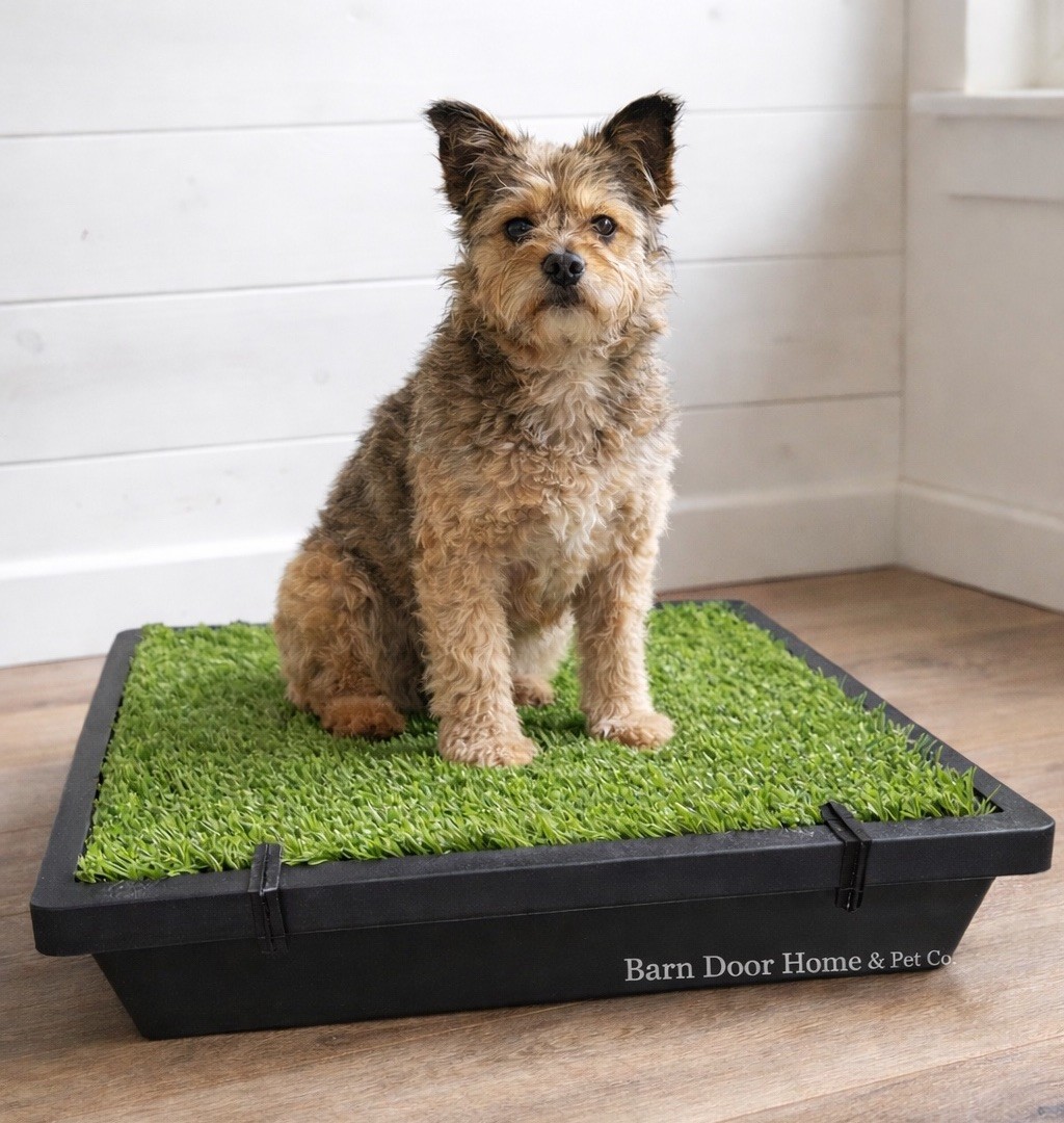 PetSafe Pet Loo Portable Indoor Outdoor Dog Potty Small 20” Tray