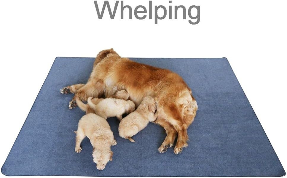 Non-Slip Dog Pads Extra Large 72″ X 72″ Washable Puppy Pads W/Fast Absorbent
