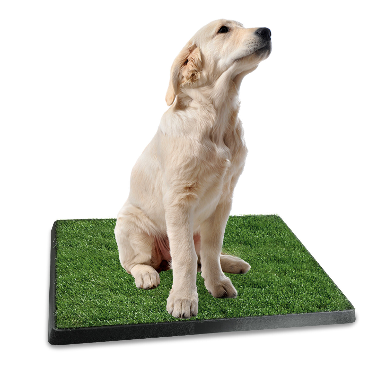 25×20″ Puppy Dog Pet Potty Training Pee Pad Mat Tray Grass House Toilet W/ tray