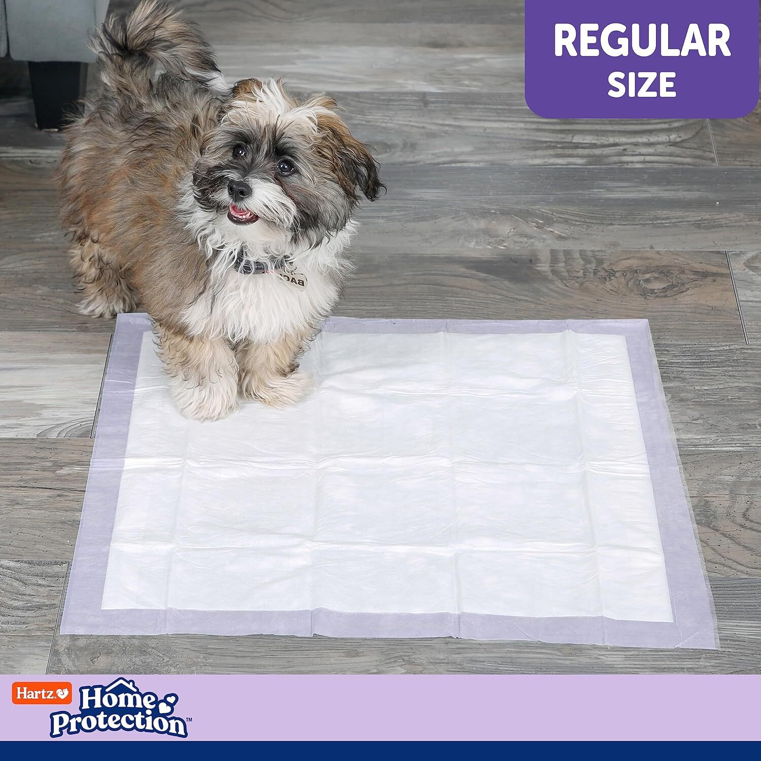 Hartz Home Protection Lavender Scented Dog Pads, 21 x 21 (50 count),