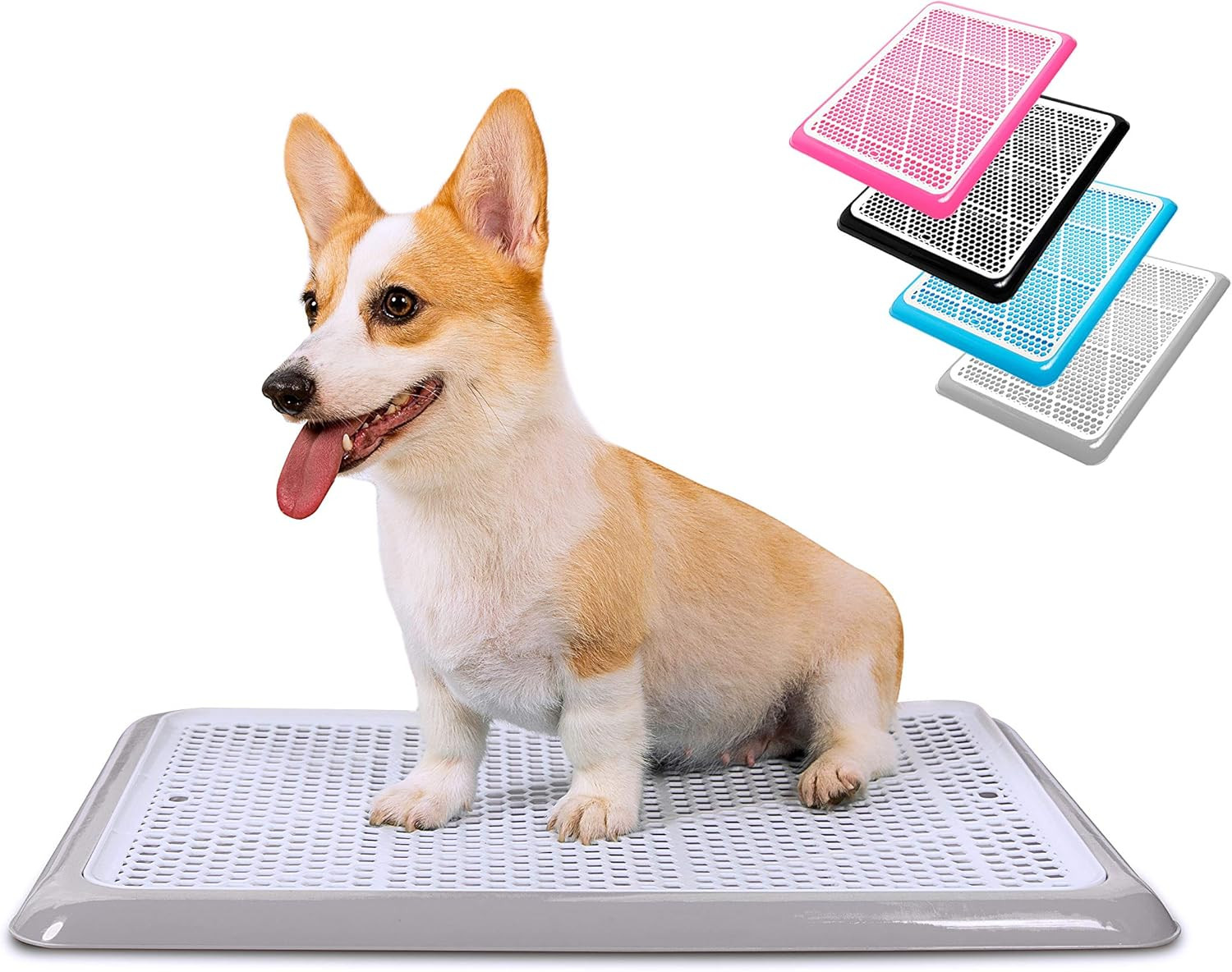 Dog Potty Tray/Puppy Pee Pad Holder 25”X20” Indoor Wee Training for Small and Me
