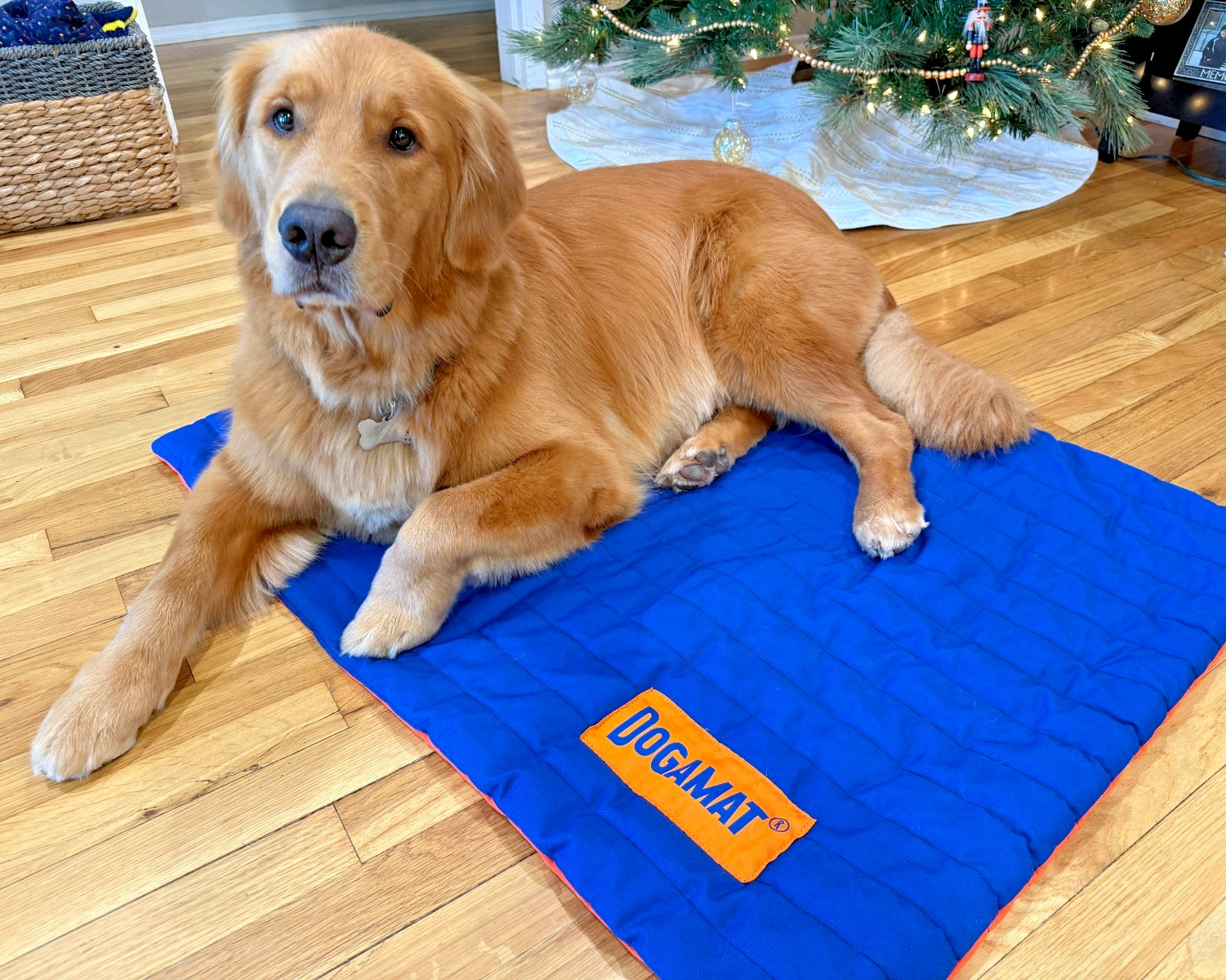 “Doga” Training Mat – Large 30″ x 36″ – Portable Dog Place Mat