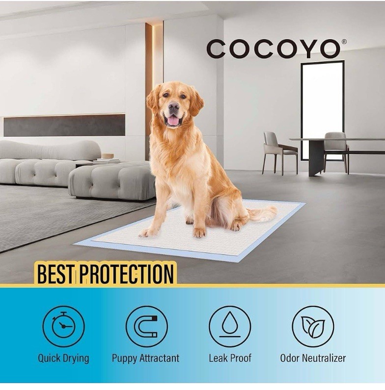 COCOYO Best Value 22″X22″ Dog Training Pads 50 Count | Dog Pee Pads | Super Abso