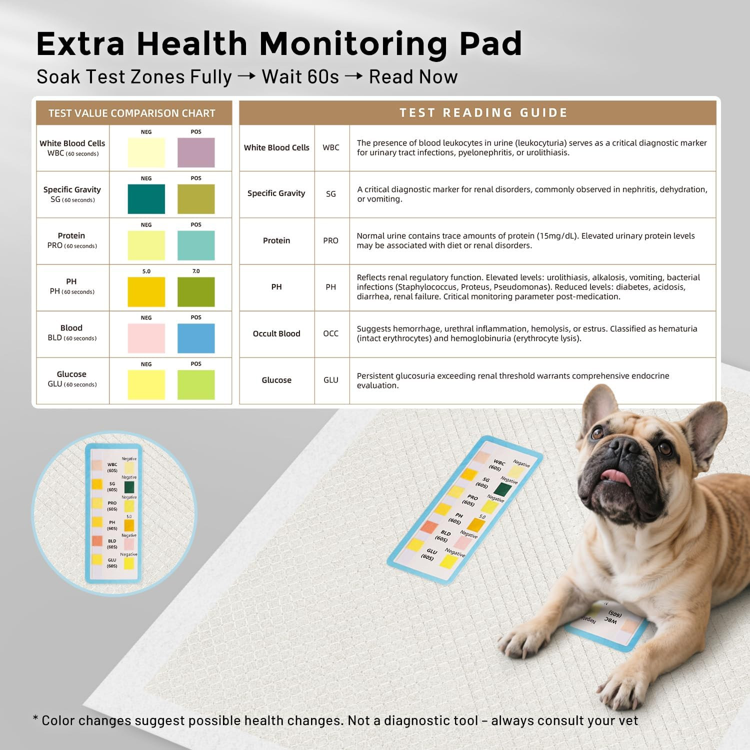 Charcoal Puppy Pee Pads for Dogs Extra Large, 28″X34″ 30 Counts + 1 Extra Health