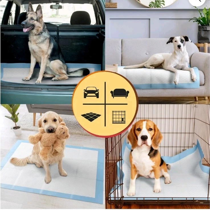 Brilliance Puppy Training Pads, 6-Ply Mess-Free Disposable Dog Pee Pads, XXL,…