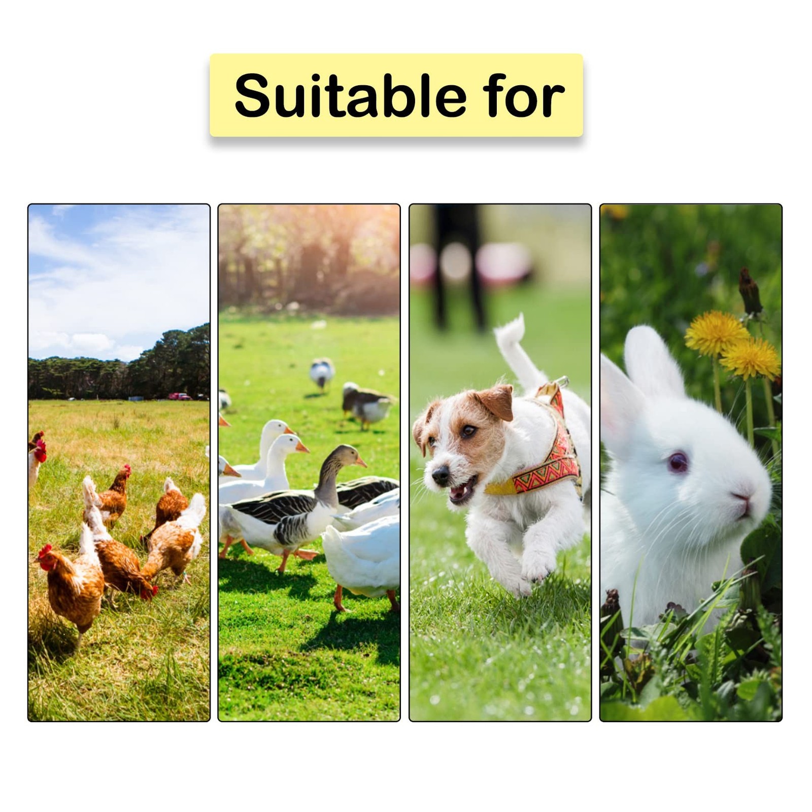 4 Pack Washable Chicken Nesting Pads Artificial Grass Rug Carpet Cuttable Chi…