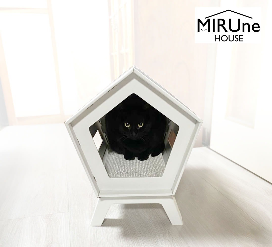 Value Pack: 2 Mirudan Sets MIRUne HOUSE White Cat Scratcher House