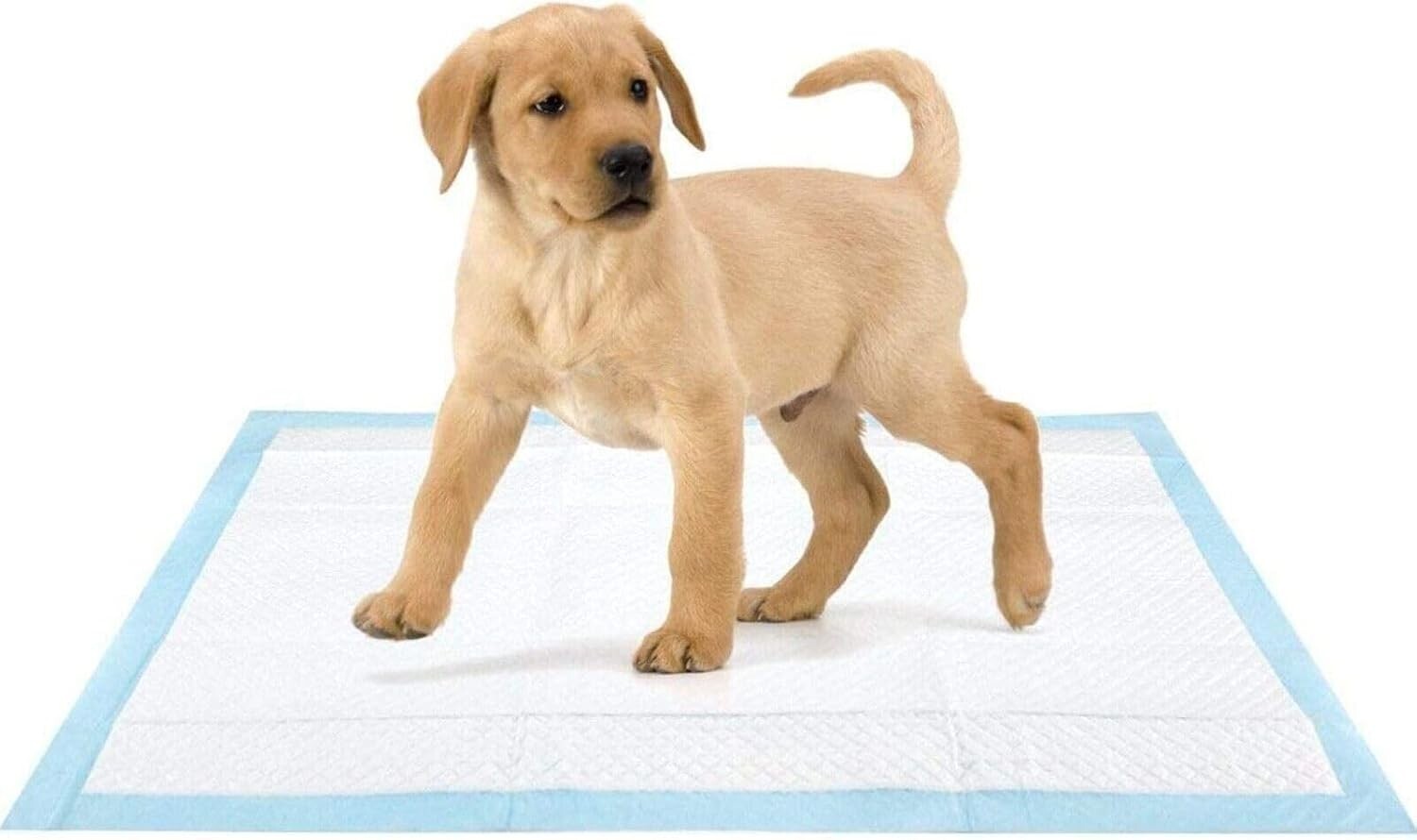 LARGE PUPPY TRAINING PADS TOILET MATS PET DOG CAT PUPPY 20 40 80 ,100 60X40 CM