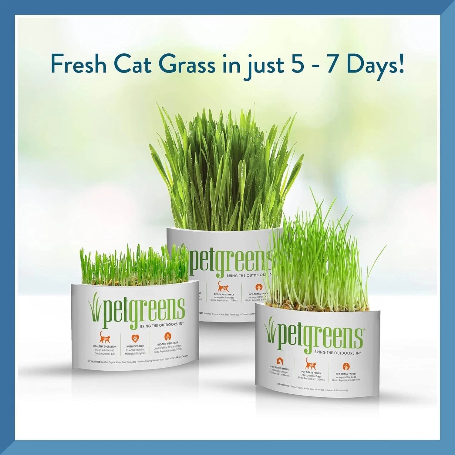 Pet Grass Kit with 100% Organic Wheatgrass – Grows in 5-7 Days for Healthy Pets