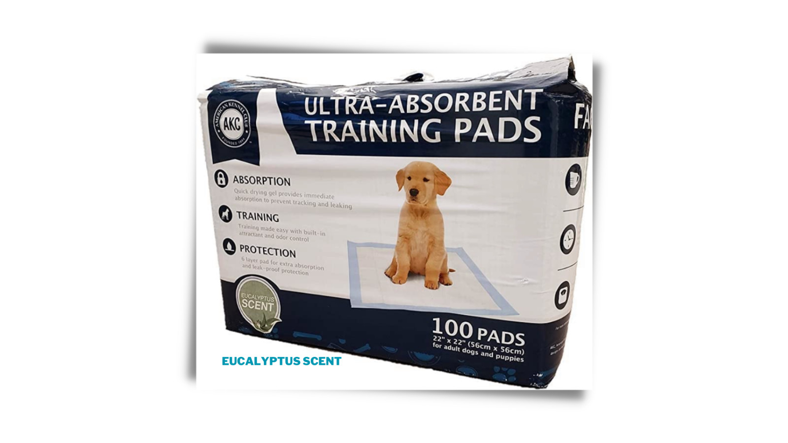 100-Dogs & Puppies Training Scented Pee Pads-Ultra Absorbent 22 x 22 Leak Proof