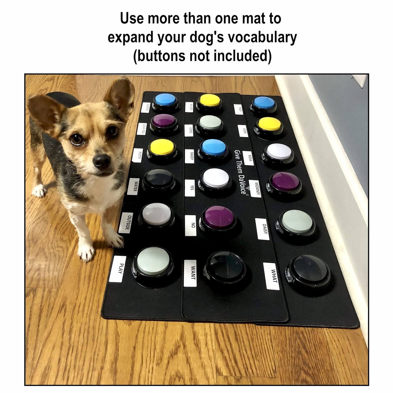 DaVoice Dog Button Mat (4 Placements) for 8″ x 24″, Black