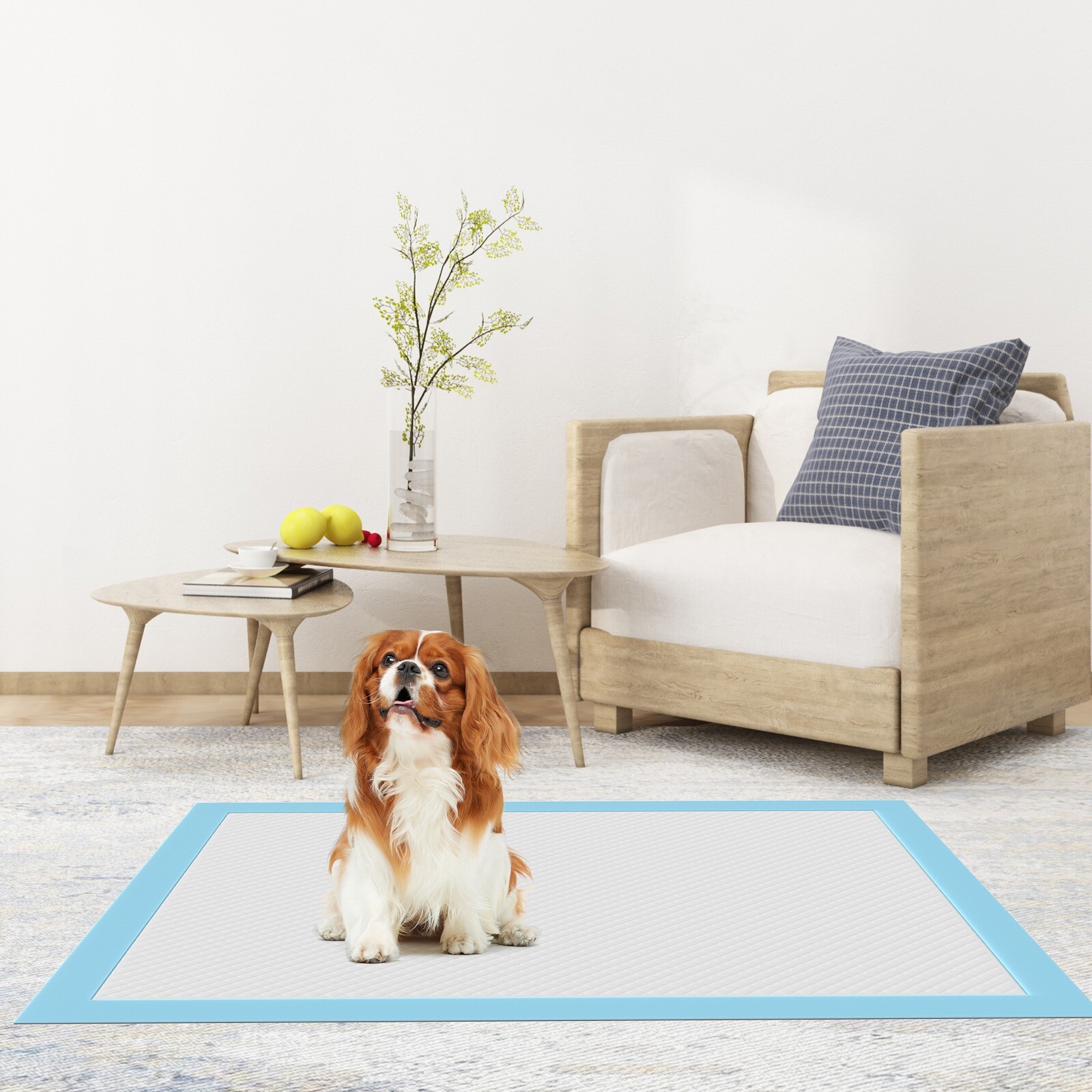 Pet Training Pad Dog Urine Pads Absorbent Leak Proof Disposable Cat Puppy