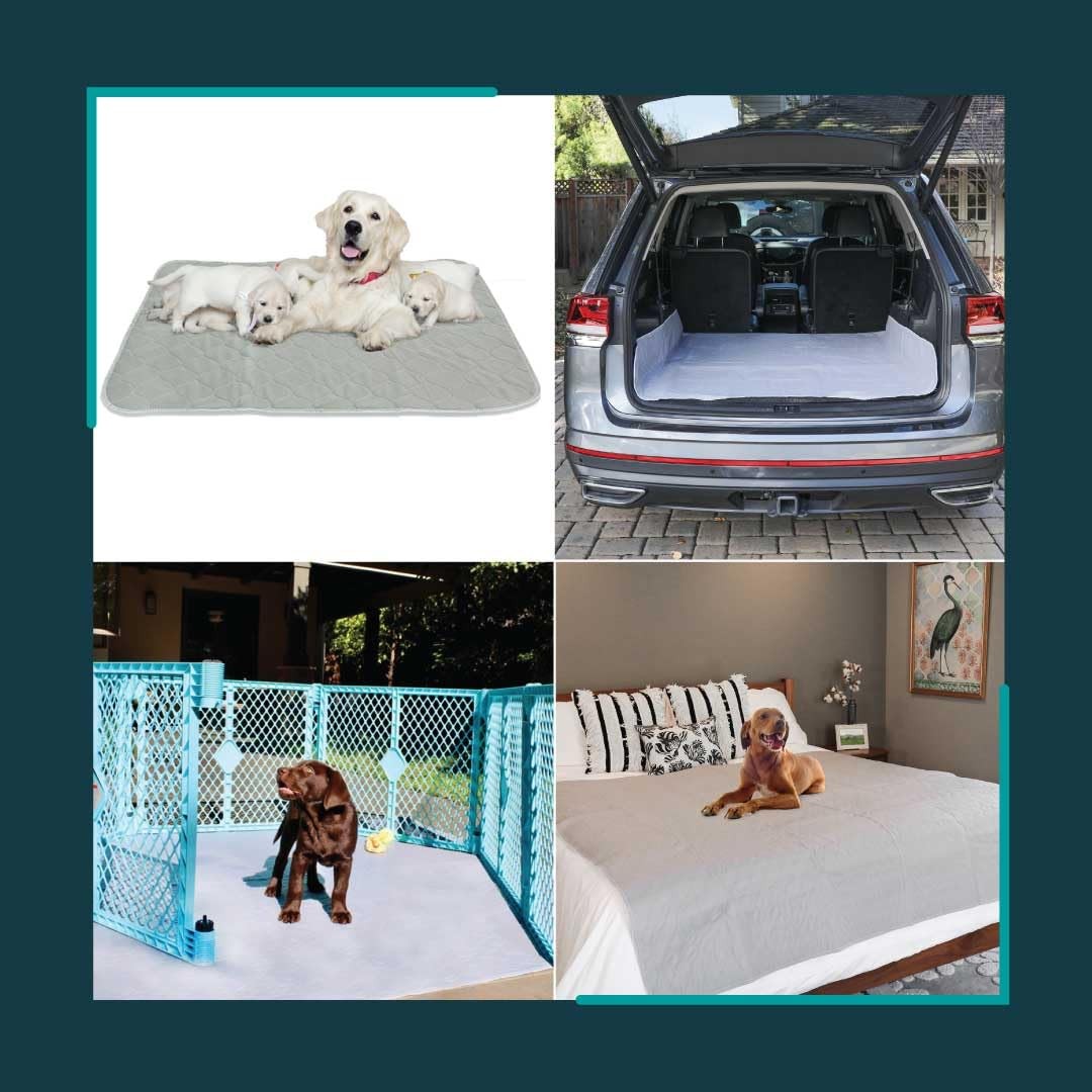 rocket and rex Premium XL Non-Slip Washable Dog Playpen Mat (60″x60″) | For w…