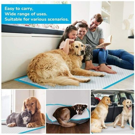 Dog Toilet Paper, Breathable for Dogs Cats (Blue)
