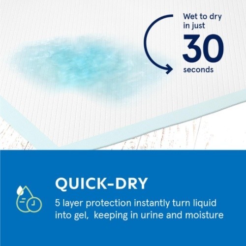 No Leak No Odor Super Absorbent Large Puppy Pee Pads 100ct Dog Pee Training Pads