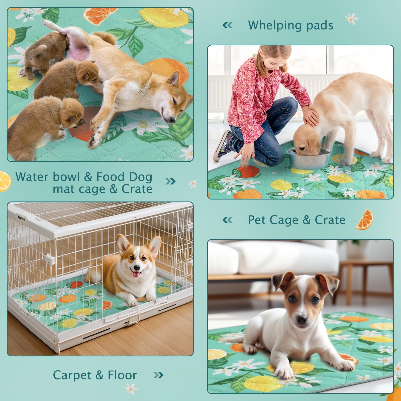 BVAGSS Washable Pee Pads for Dogs, 2 Pack 30X20 Inch (Pack of 2), Green Lemon