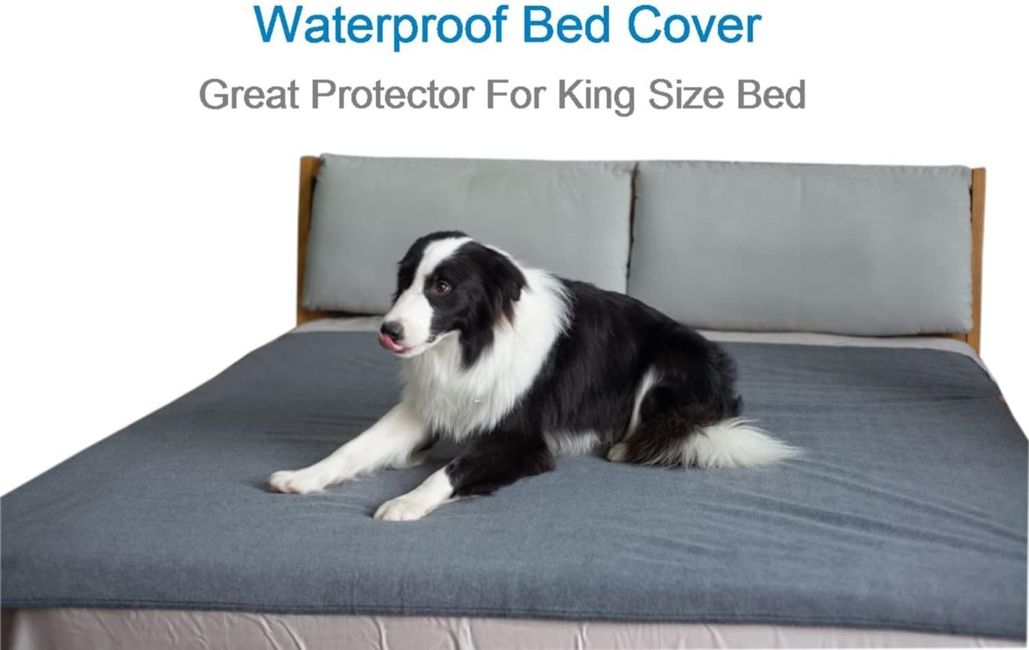 Extra Large 72″x72″ Washable Dog Pads, Fast Absorbent, Reusable, Waterproof