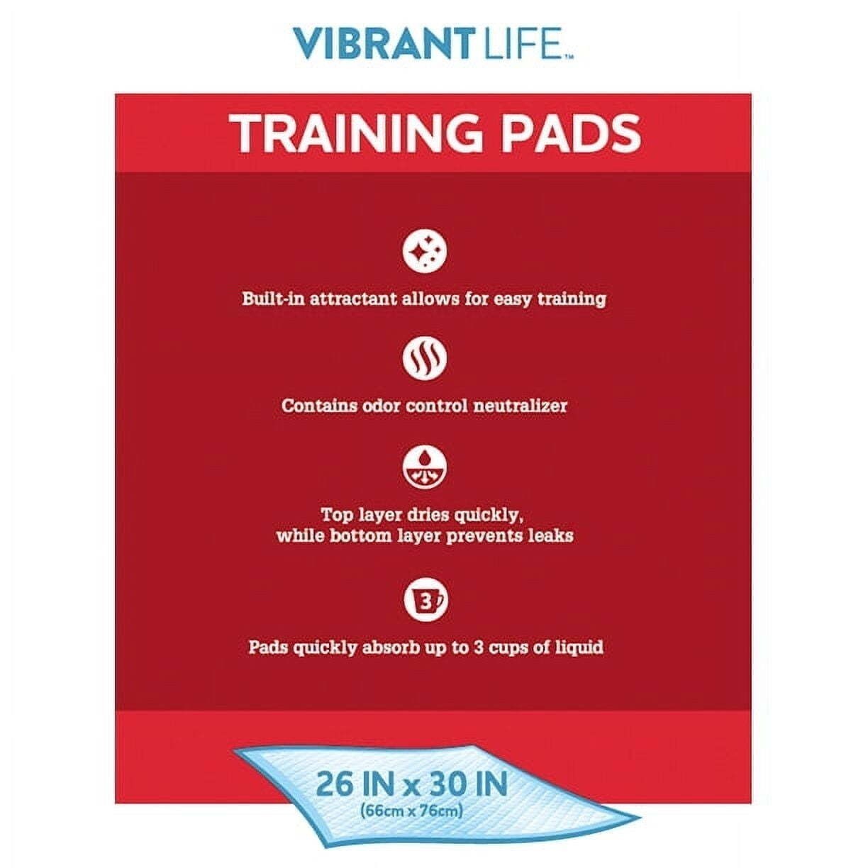 Training Pads Dog & Puppy Pads XL Super-absorbent Pads Leakproof 75 Count NEW