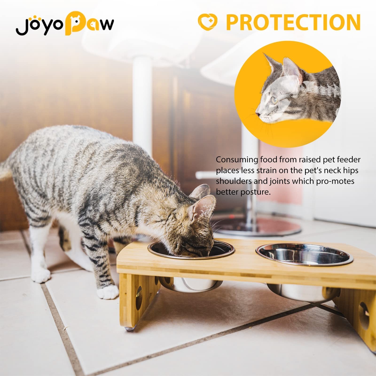 Elevated Dog Bowls, Bamboo Raised Dog Bowl for Small Dogs & Cats, with 2 Stai…