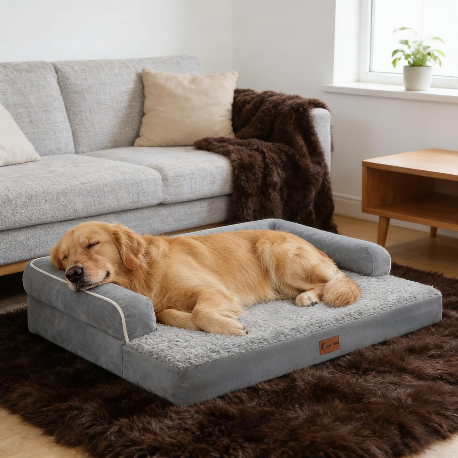 Orthopedic Dog Bed 45x35in Grey, Waterproof & Washable | Orthopedic support, …