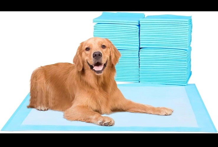 Boscute Pee Pads for Dogs 36x36in Puppy Pads Super Absorbent Dog Pee Pads 100pcs
