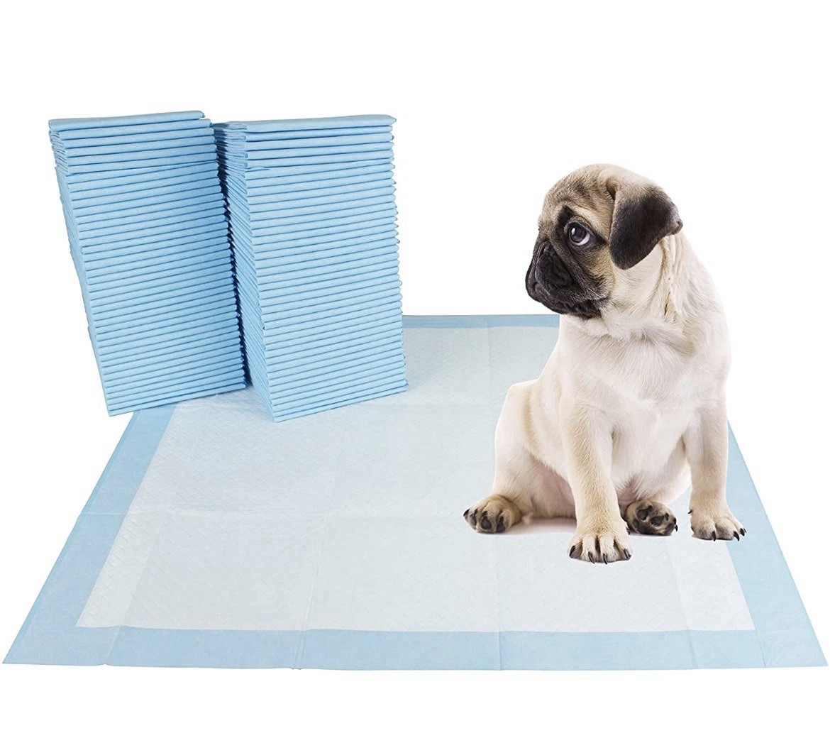 Training Pads for Dogs Extra Large 40 Pack 28″x34″ BV Pets Rapid Dry 6 Layers