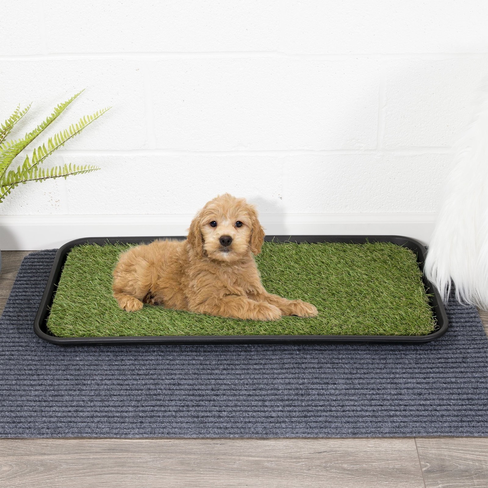Pet Care Non-Slip Easy Clean Indoor/Outdoor Tray Heavy Duty W/Reusable Grass Pad