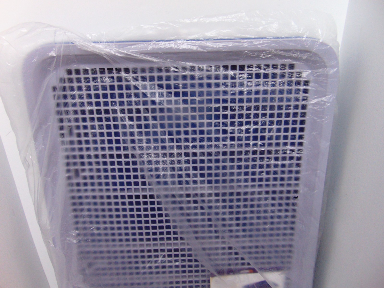 Welpe Dog Litter Box The Perfect Indoor Dog Potty Tray with High Walls