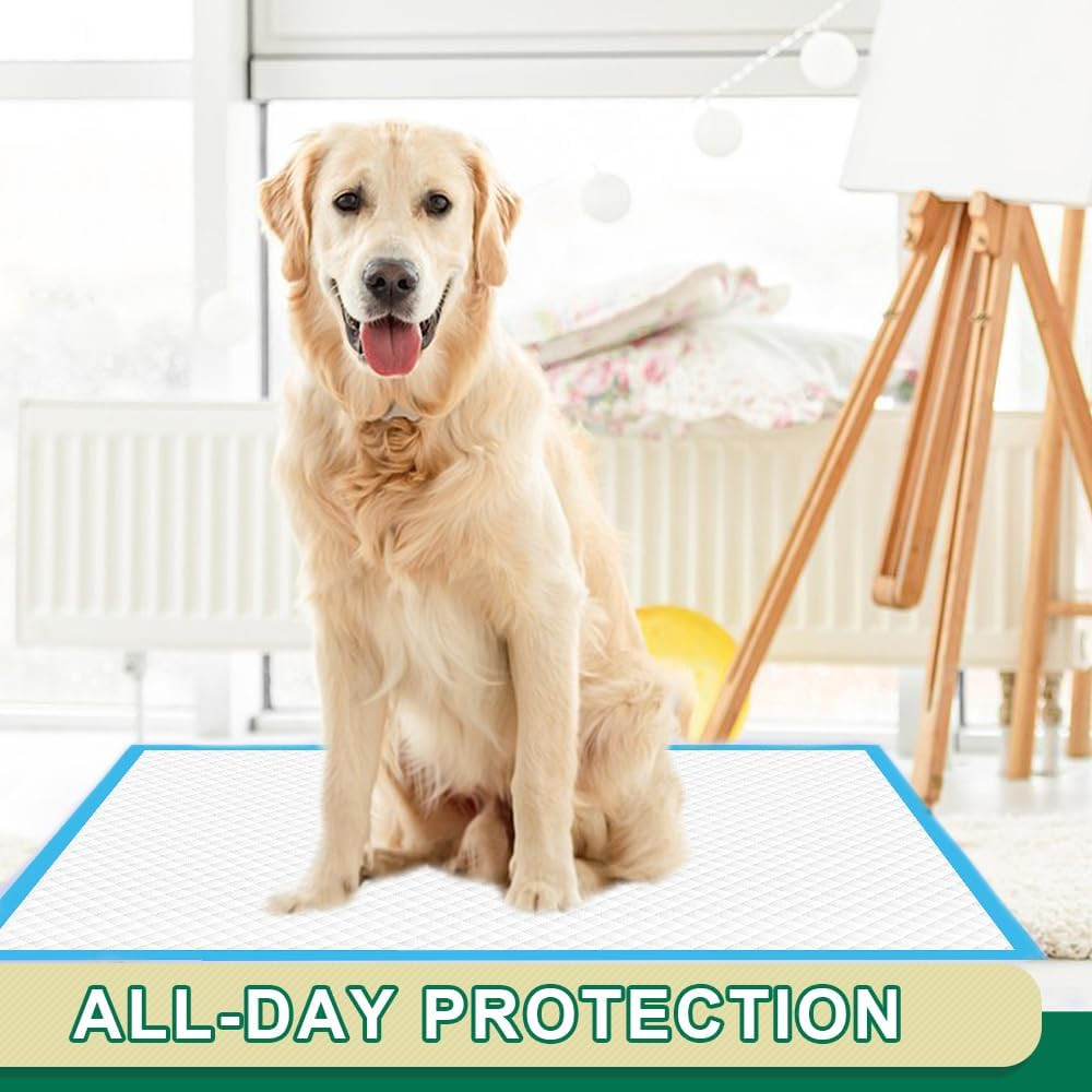 Puppy Pads 22″X23″ 100 Count | 6-Layer Leak-Proof & Super Absorbent Dog Training