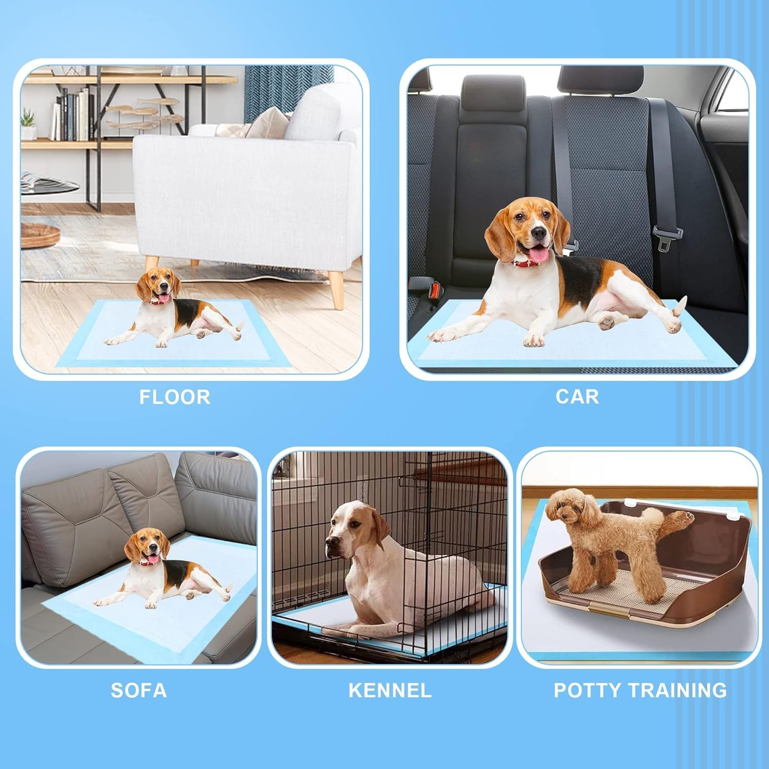 Puppy Pee Pads for Dogs 40″x40″ 40 Count, Extra Large Dog Pee Pads, Leak-Proo…