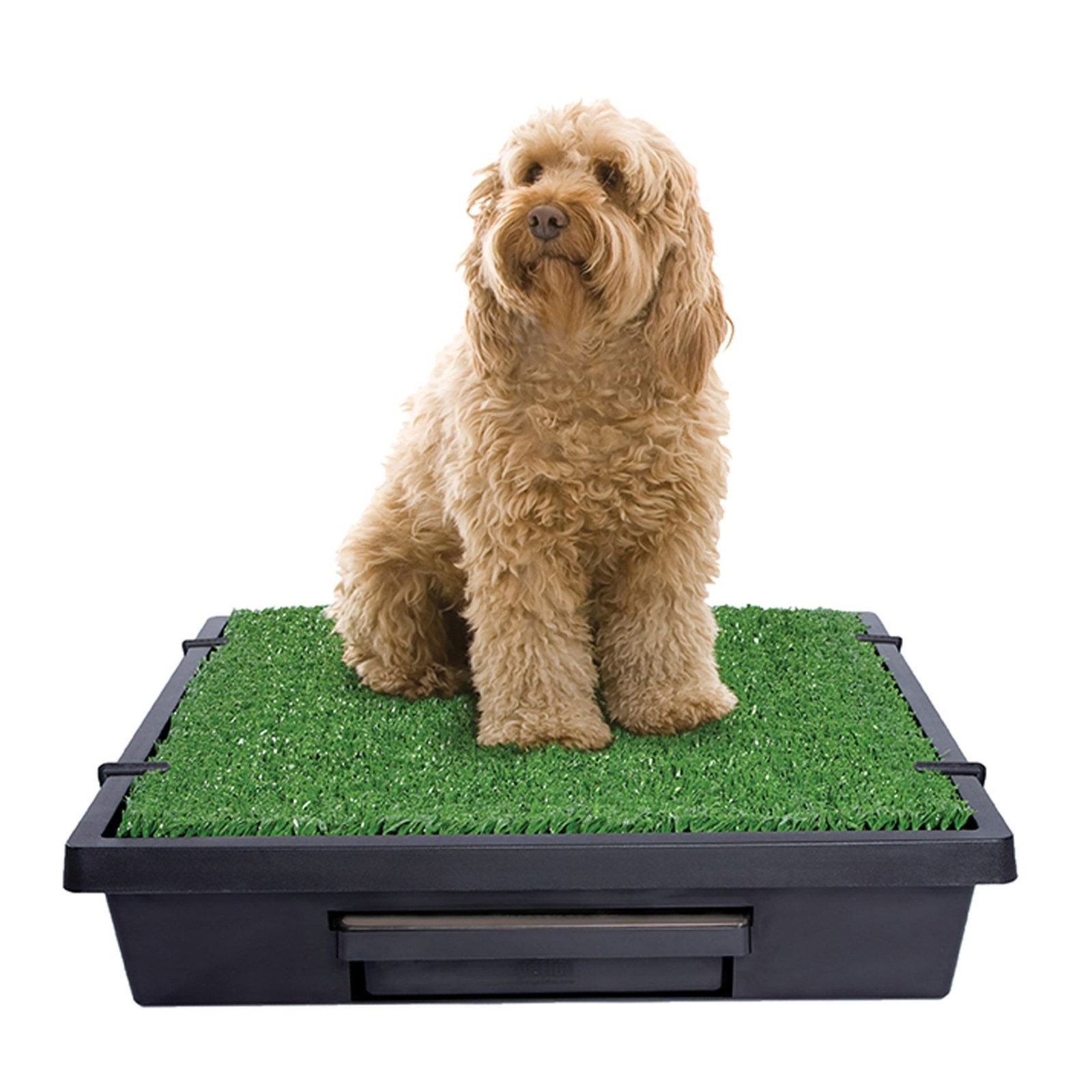 PetSafe Pet Loo Portable Grass Pad Dog Potty w/ Wee Sponge Powder, Medium