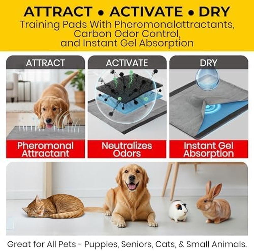 Glad for Pets Activated Carbon Disposable Dog Training Pads, 50 Count, 4-Pk