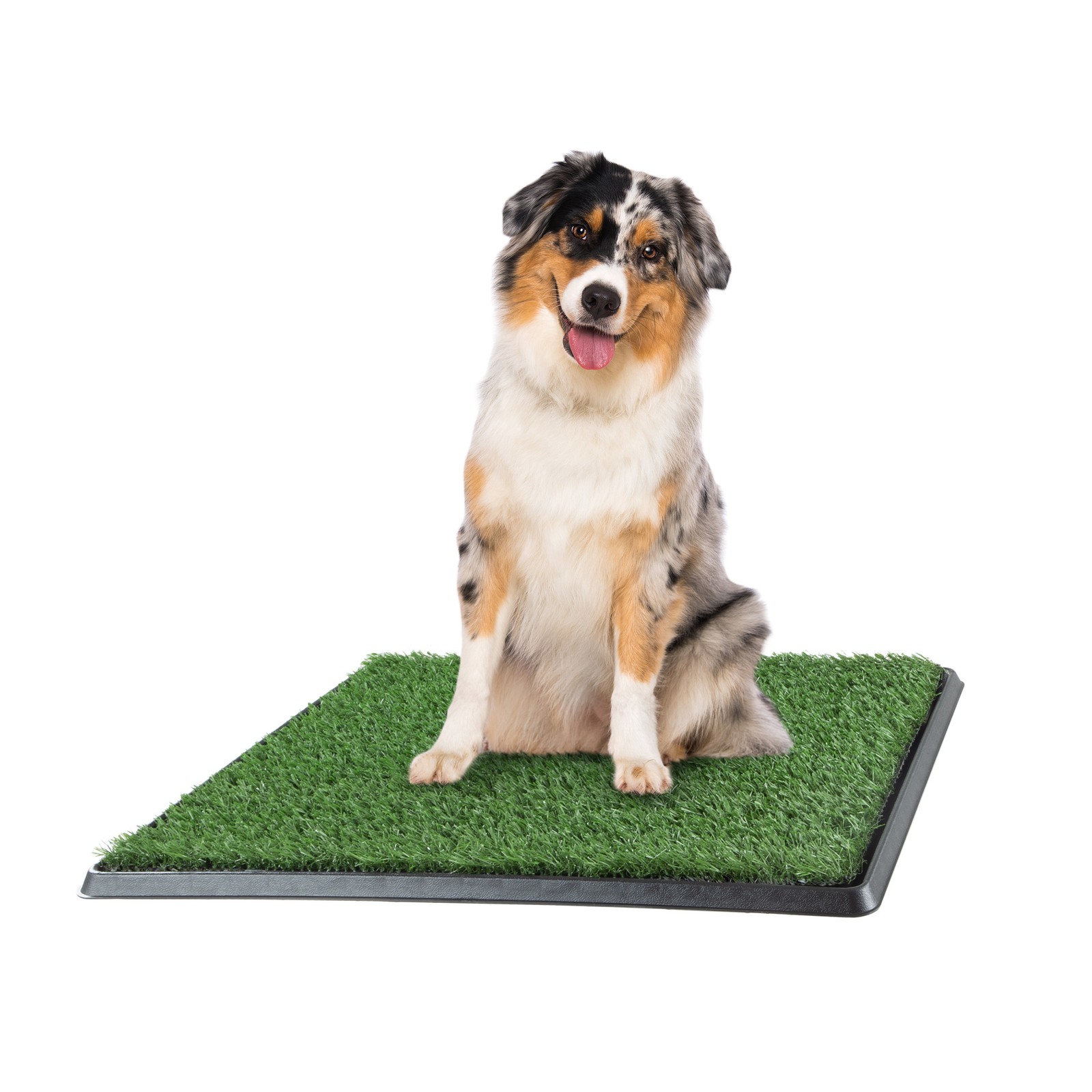 20″x25″ Artificial Grass Puppy Training Potty Pee Pad for Dogs Small Pets