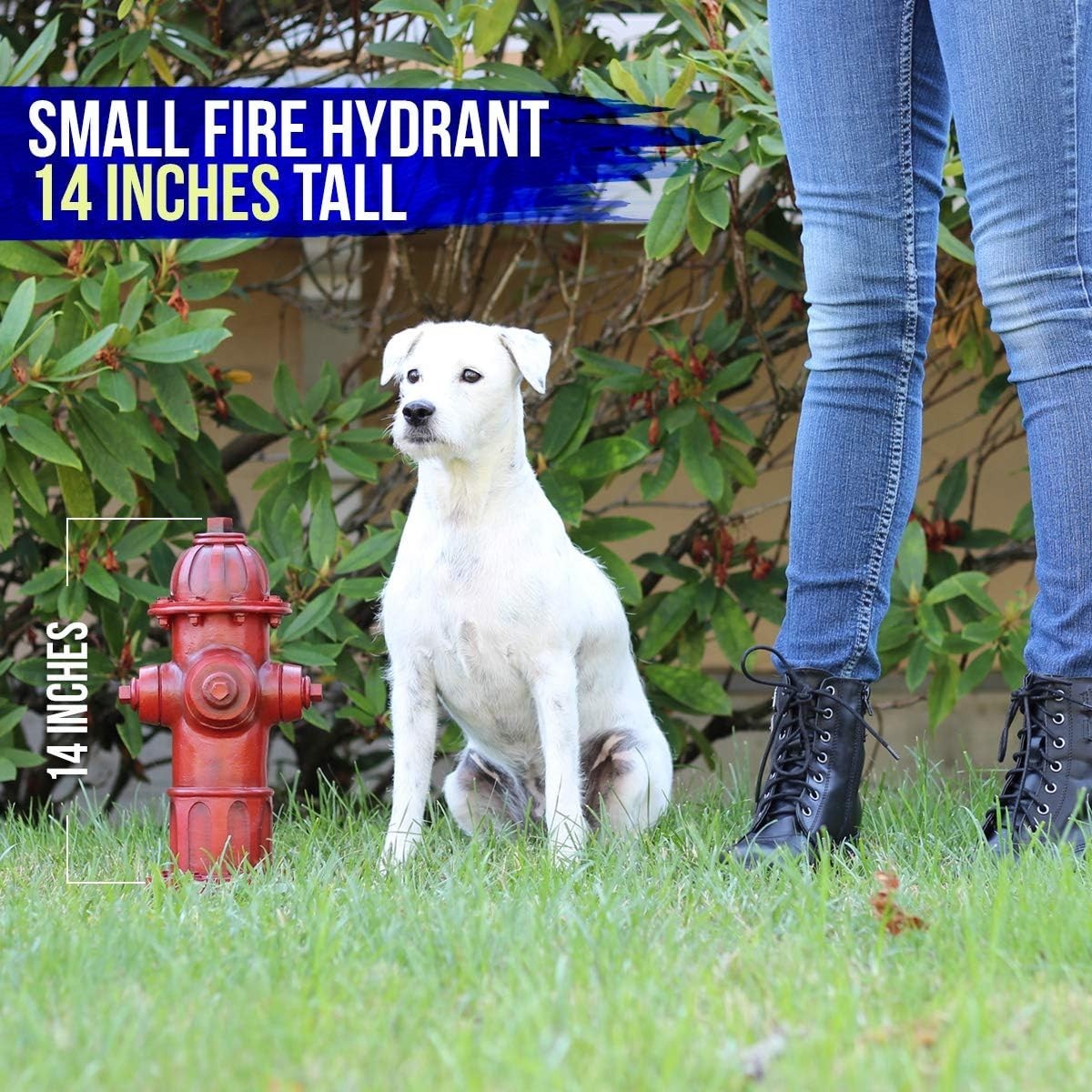 Weather-Resistant 14-Inch Dog Fire Hydrant – Perfect for Potty Training Outdoors