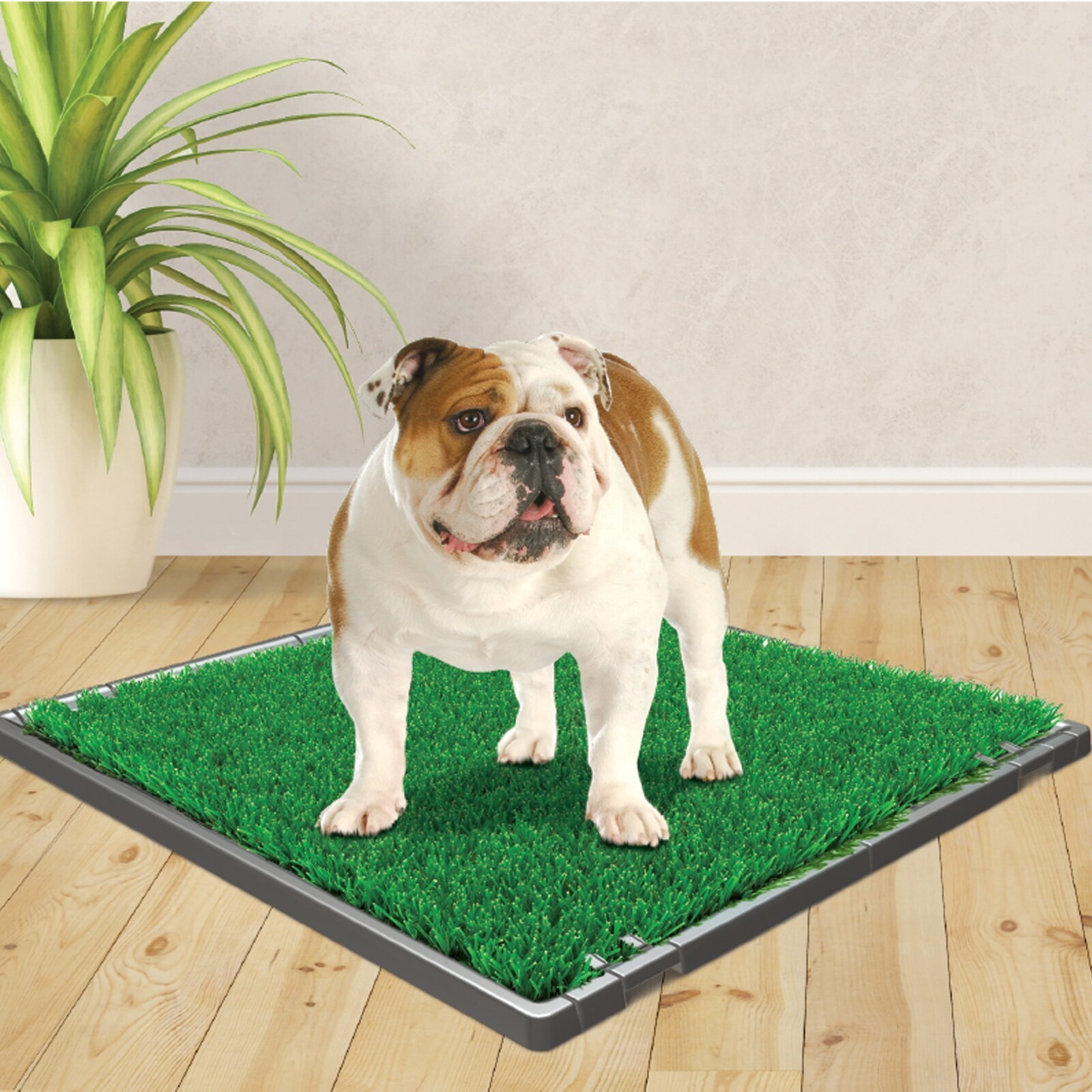 Outdoor Indoor Pets Medium Dog Grass Replacement Realistic Apartment Potty