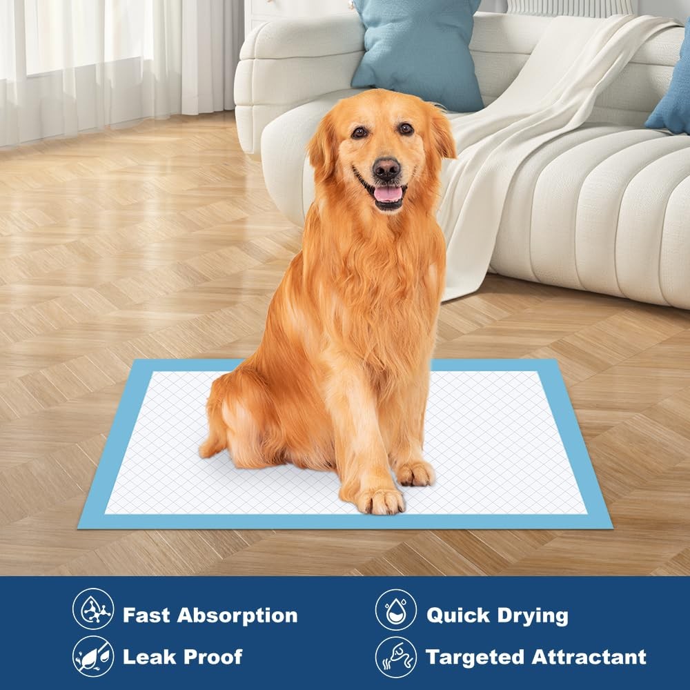 50 Count 28” x 34” XL Disposable Dog Pee Pads, Super Absorbent Leakproof Quic…