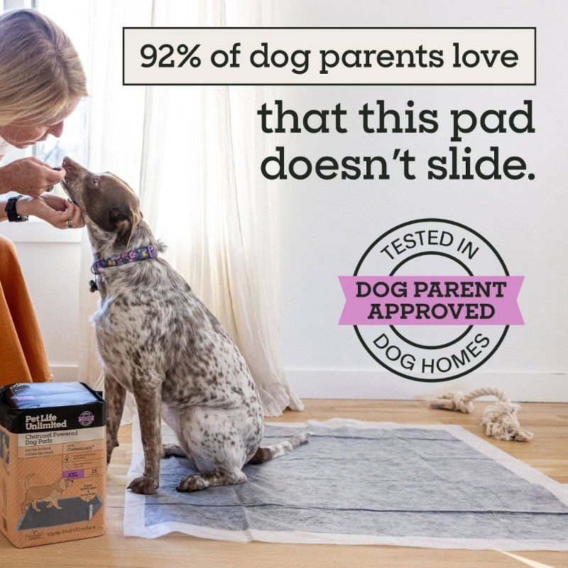 Odor Controlling Training Pads with Charcoal for Dogs – XXL – 15ct