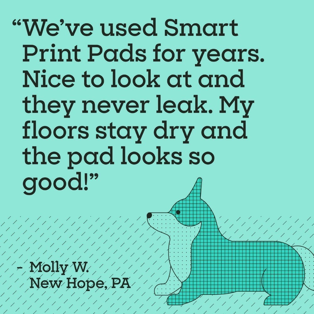 Dog Pads Large 22″x22″ 40ct W/ Leak-Proof & Quick Absorb For Puppy Training