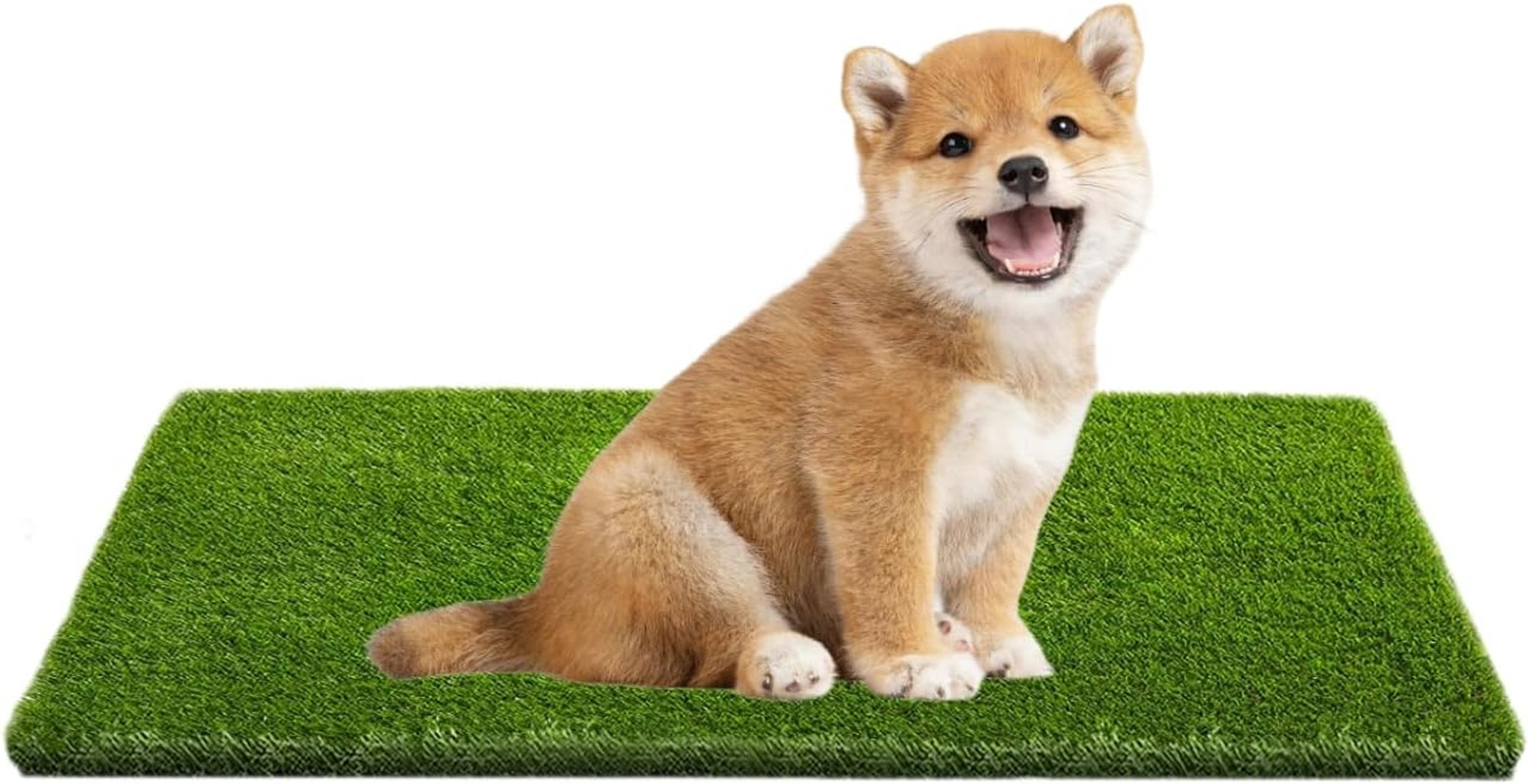 Artificial Grass, Professional Dog Grass Mat, Potty Training Rug and Replacement