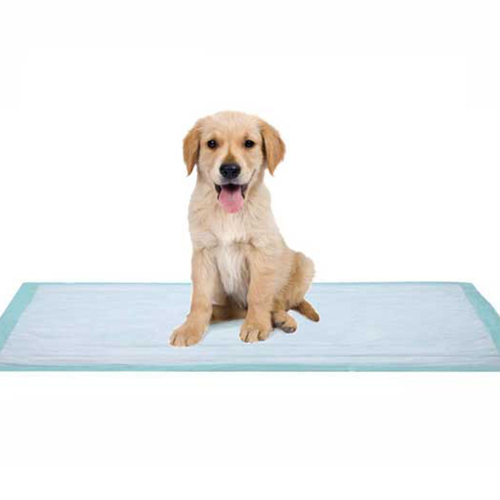 100 DUKAL Light Absorbency Disposable Underpads 17″ x 24″