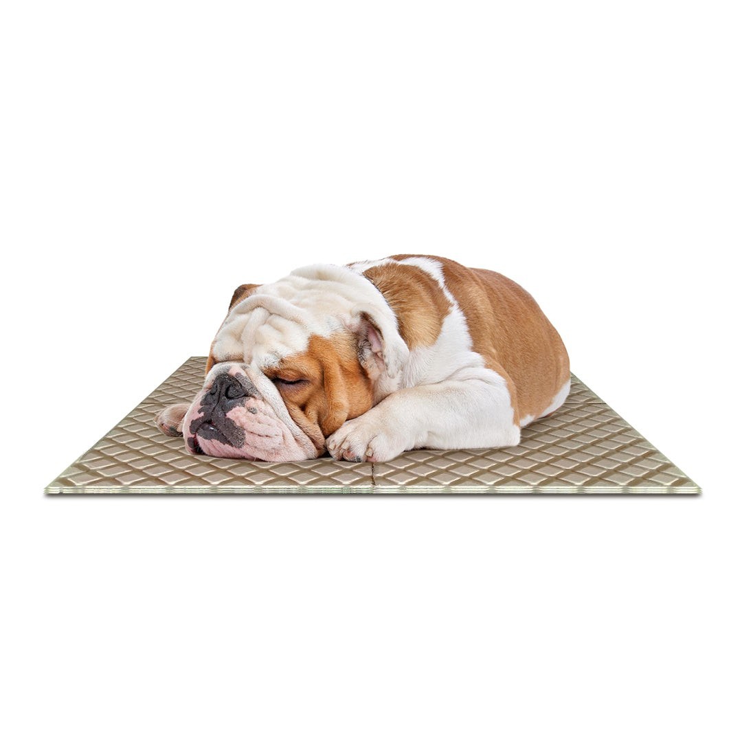 Play Mat Set for Dogs- Puppies 4 Interlocking Floor Mats