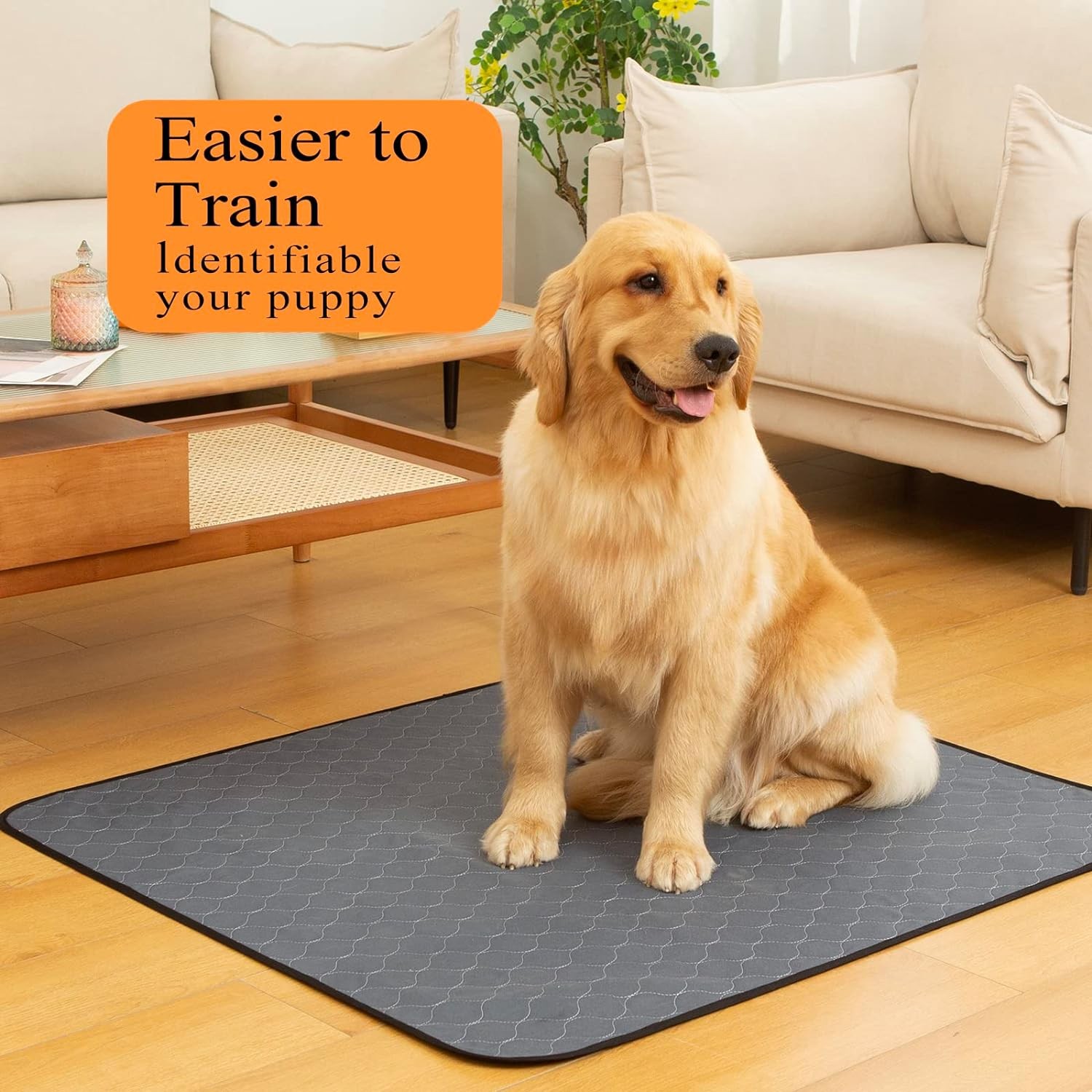 Bunlitent Washable Pee Pads for Dogs 72×72, 2 Pack, Extra Large Reusable Pupp…