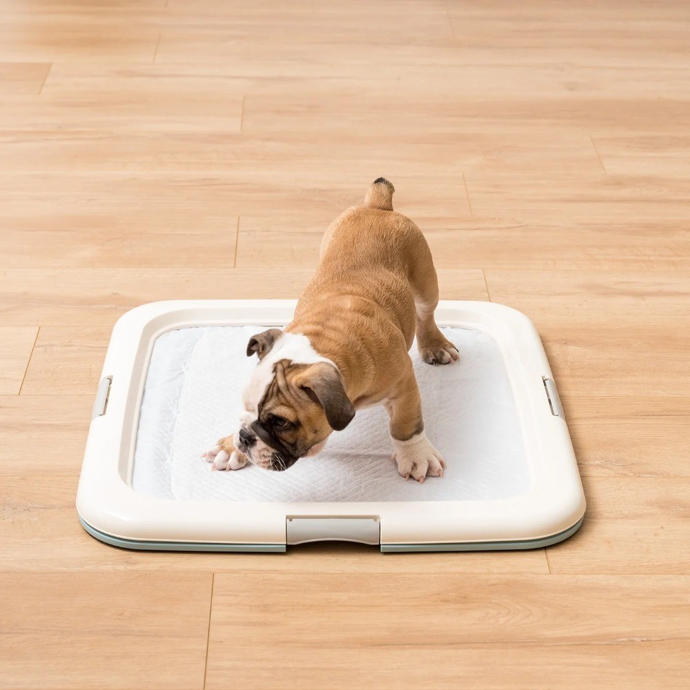 Puppy Pee Pad Holder for Dog Potty Training, Holds Pads 23″ L x 22.75″ W x