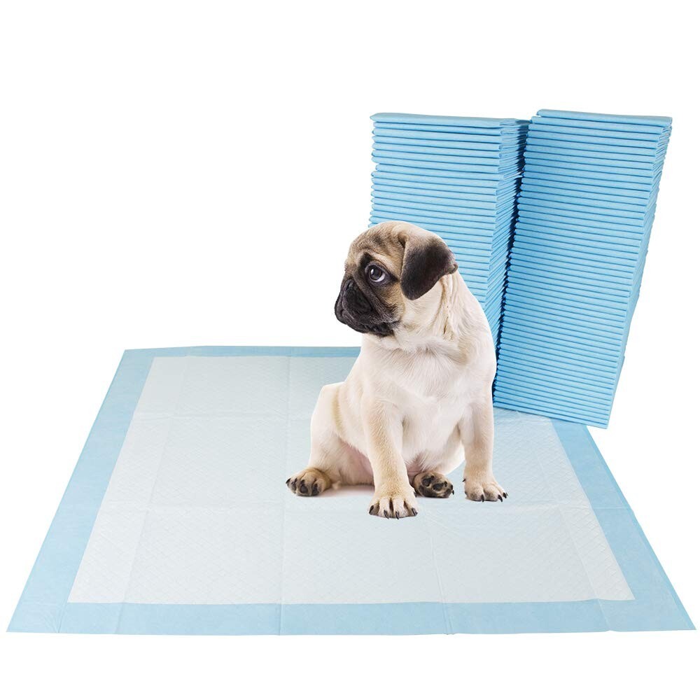 ONE NEW PACK OF 10 Underpads Training Pads Disposable Regular Absorbency 23″x36″