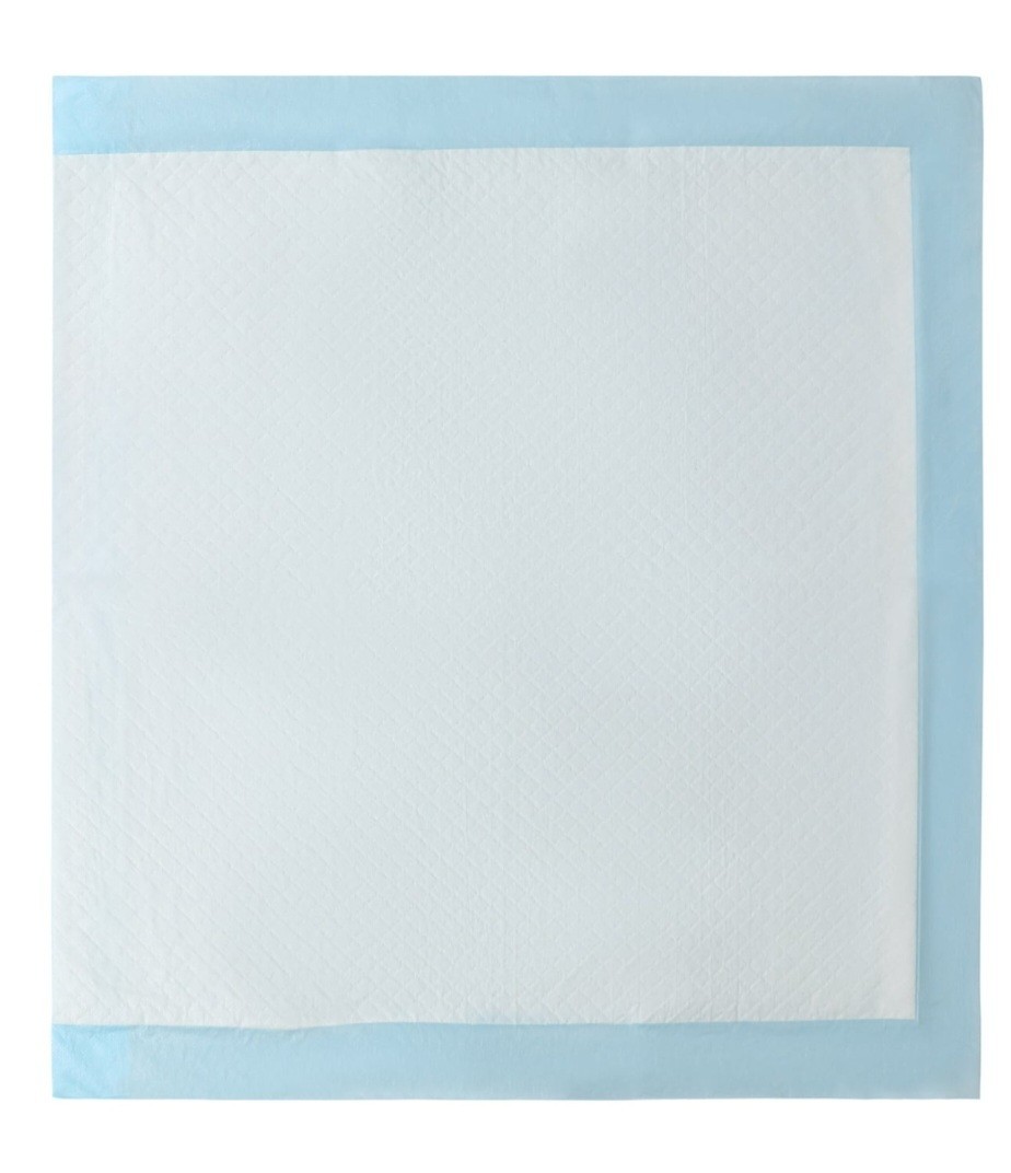 Pawsitively Fun Dog Training Pads – 30 Count, 22″ x 22″, Leak-Proof Puppy Potty