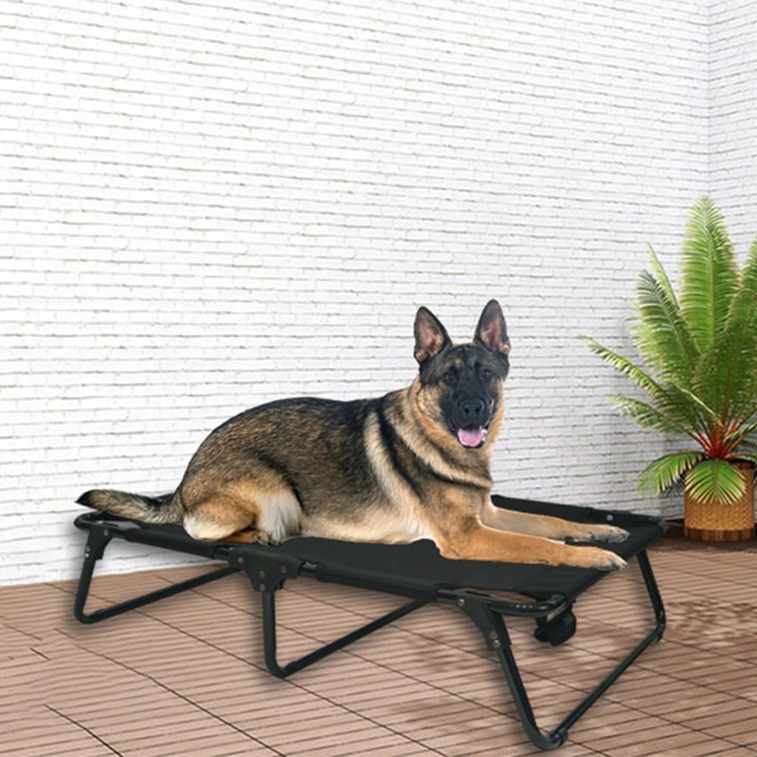 Outdoor Elevated Dog Bed Cooling Raised Dog Cots Black Pet Beds with Breathab…