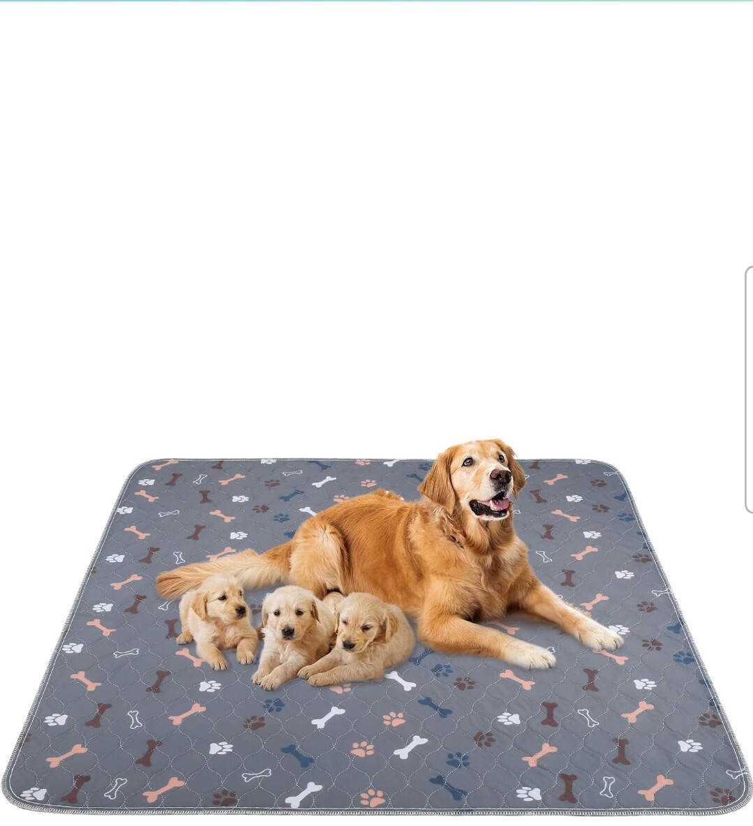 Washable Pee Pads for Dogs Puppy Pads, 2 Pack 31×36 Super Absorbent Reusable