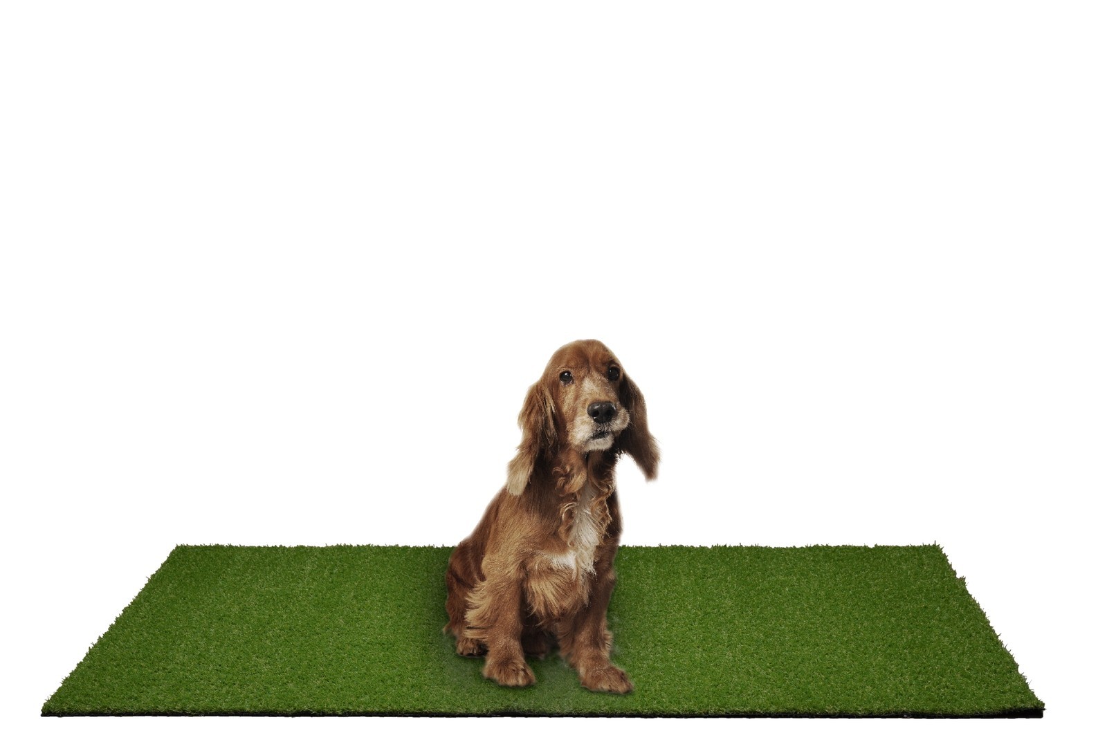Puppy Pee Pad Easy Clean with Drainage Holes Realistic Artificial Grass Turf New
