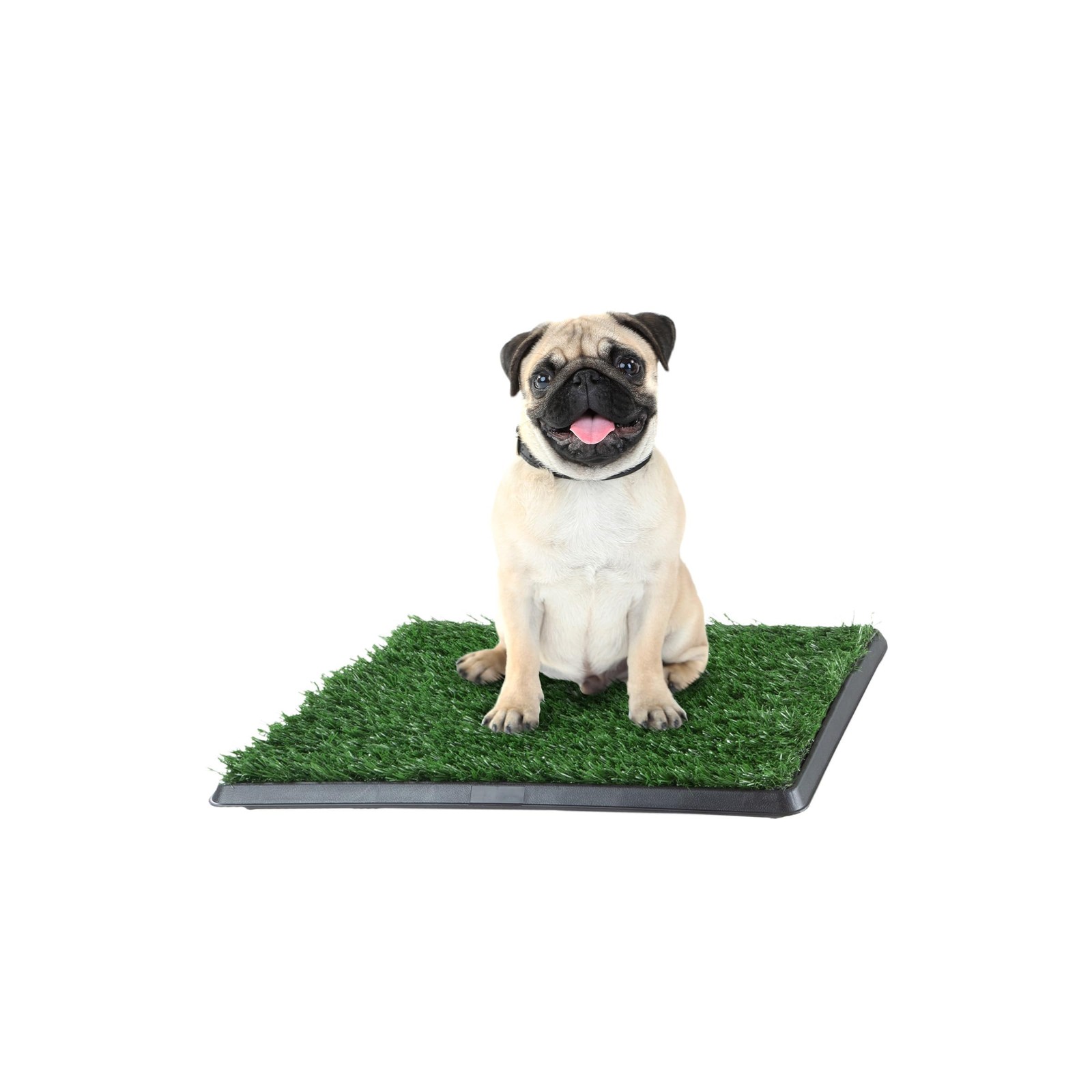 Artificial Grass Puppy Pad with Tray Small 3-Layer System, Green & Black